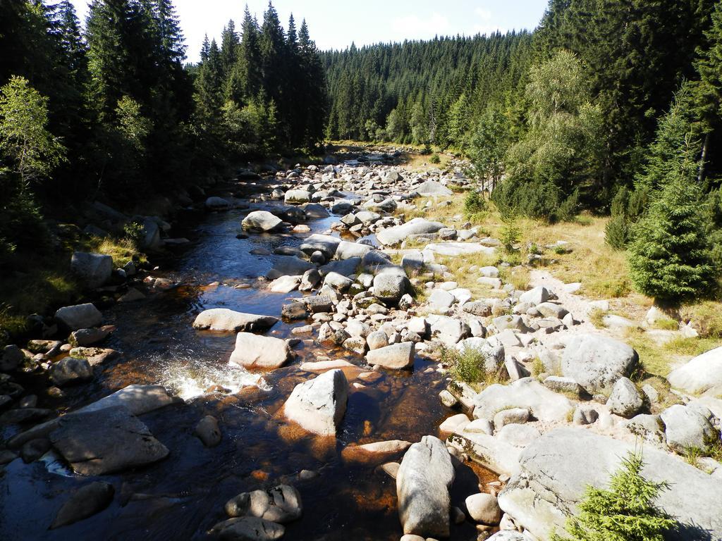 Penzion Podlesi Корженов Экстерьер фото
